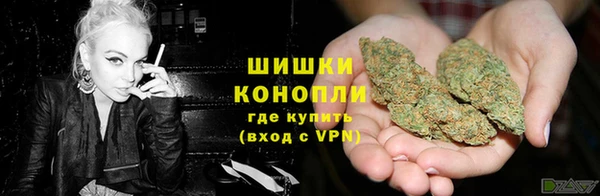 PSILOCYBIN Арсеньев