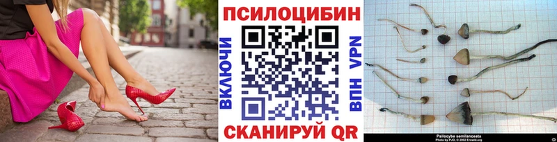 Галлюциногенные грибы MAGIC MUSHROOMS ОМГ ОМГ зеркало Минеральные Воды
